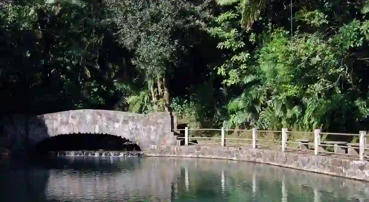 Part of a path in El Yunque National Rainforest