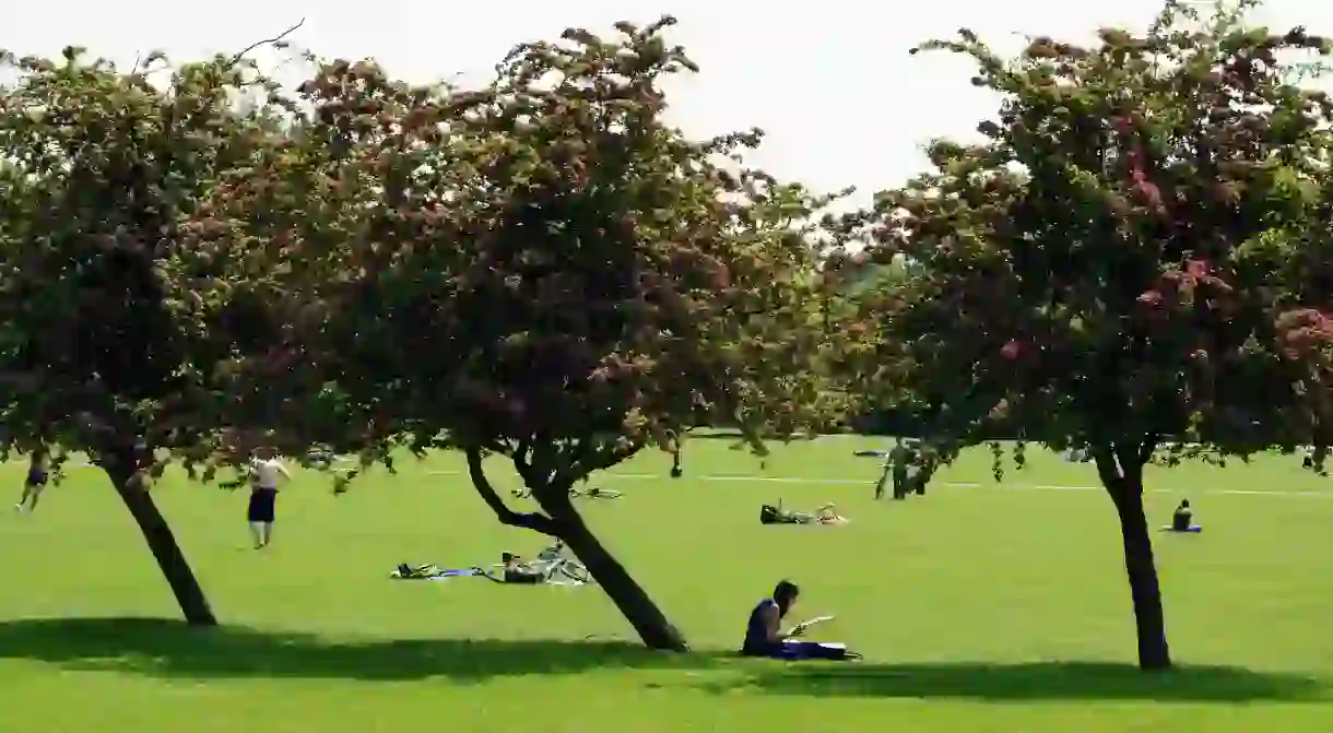 Reading in the park, London