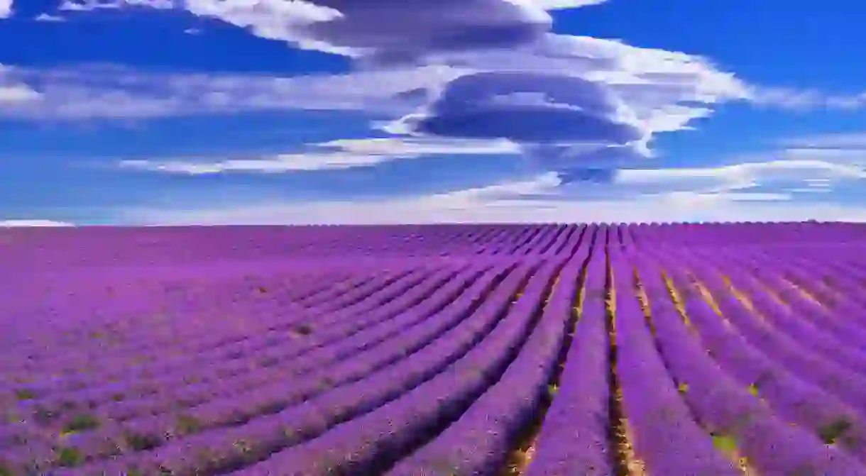 The Mistral Wind is behind everything beautiful to do with Provence