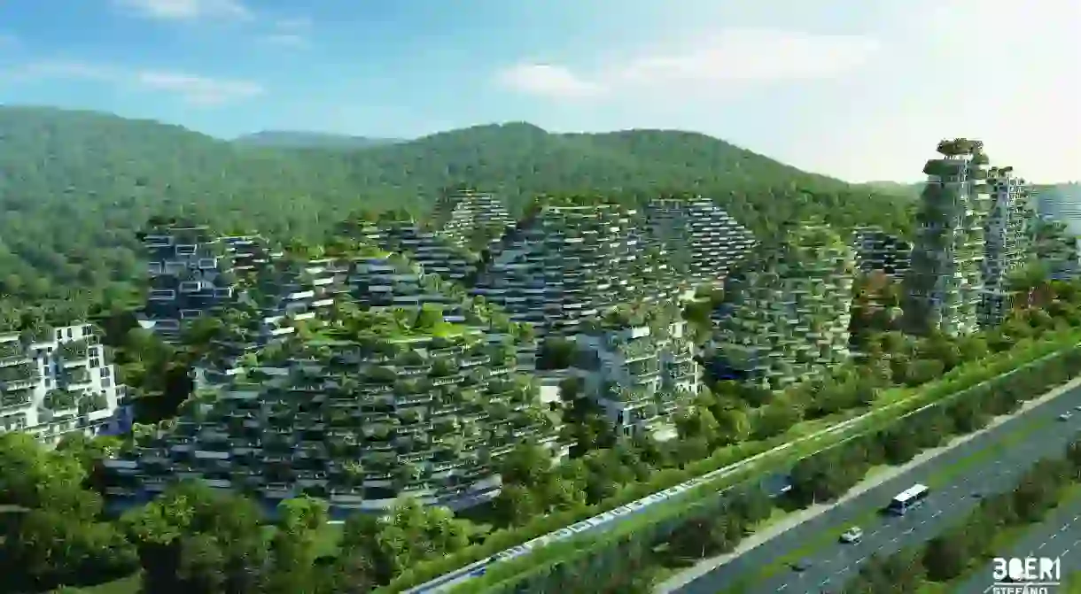 Luizhou Forest City