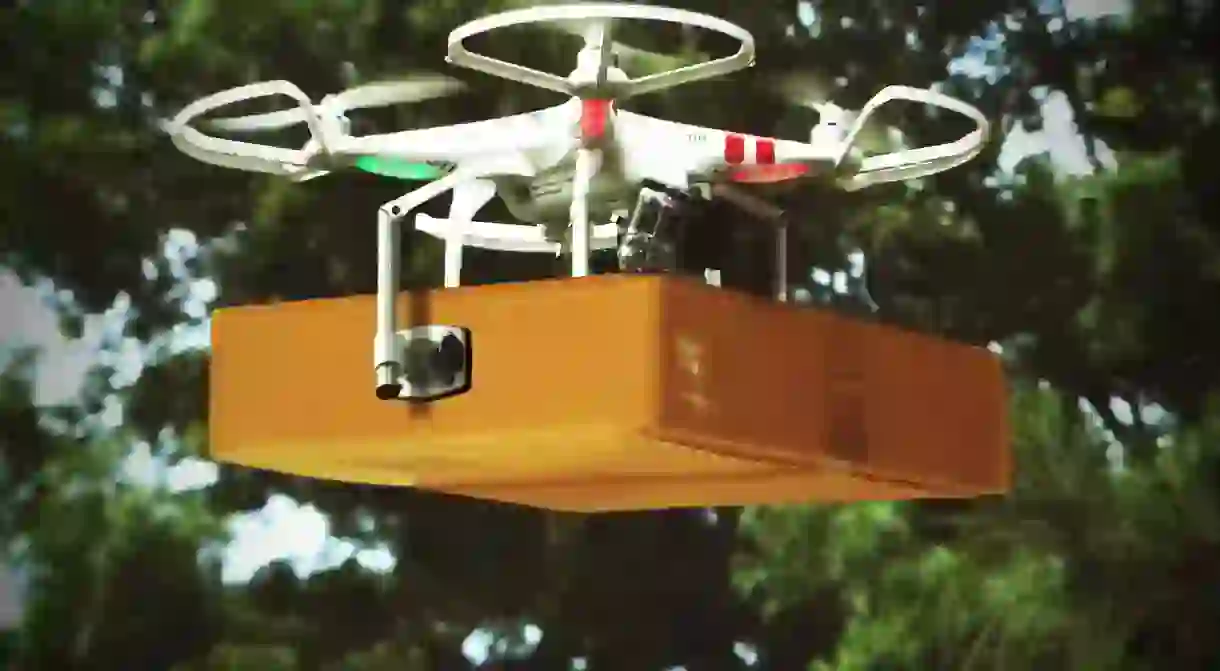 A drone delivery robot