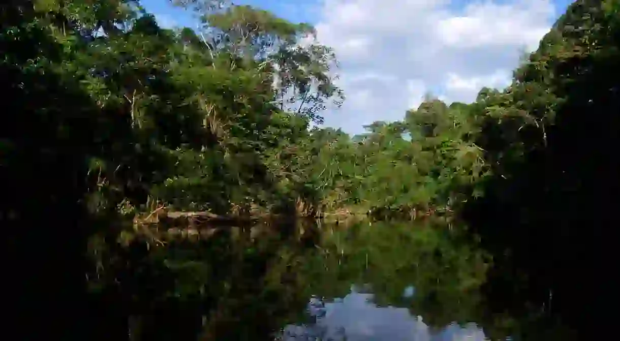 Oxbow Lake, Yasuni