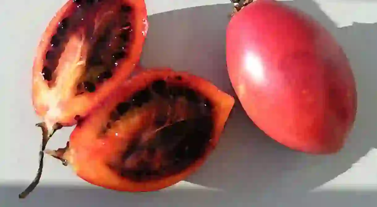 Tomate de Arbol