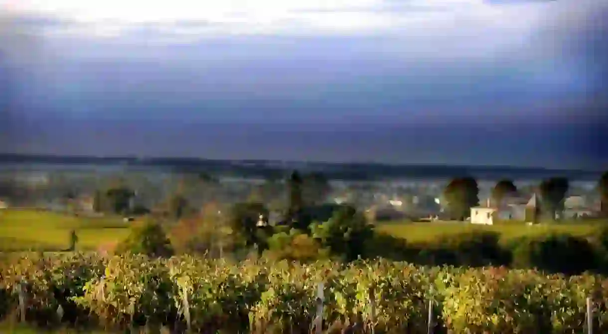 Vineyard, Bordeaux