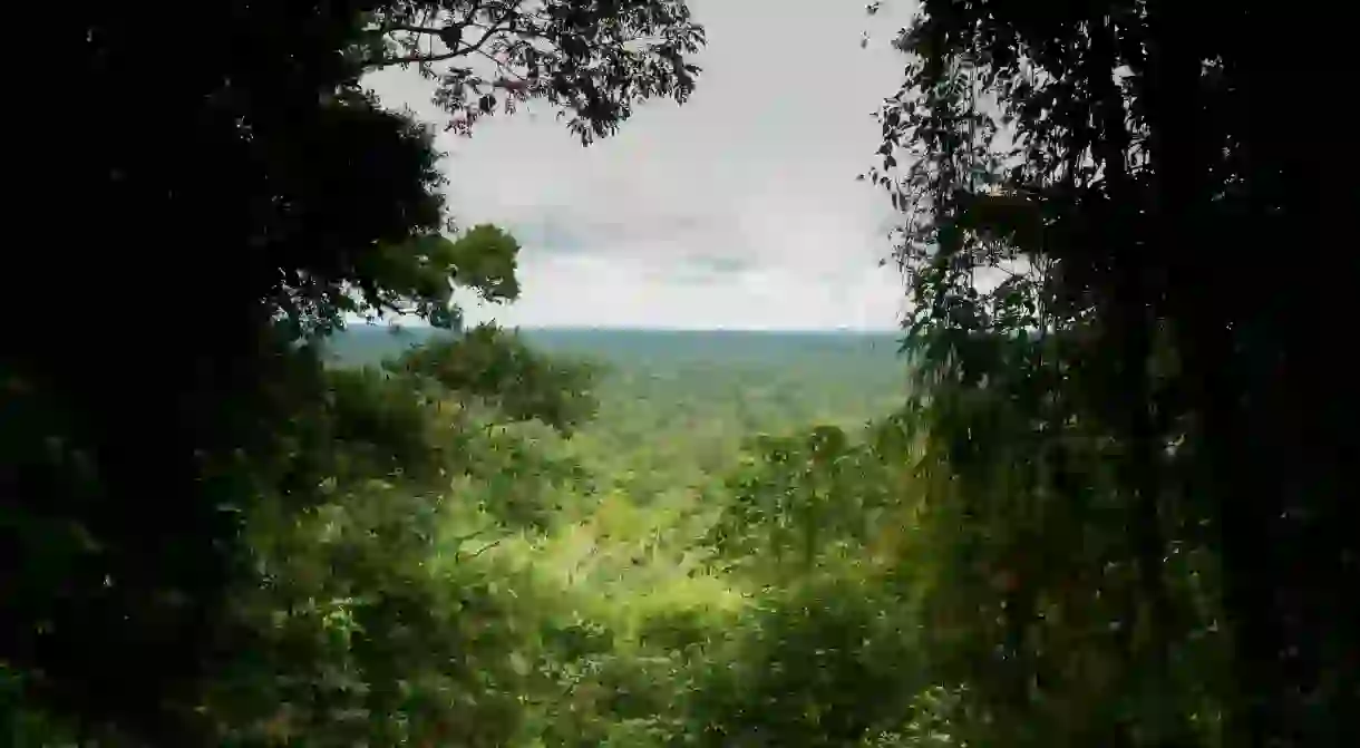 Yasuni National Park