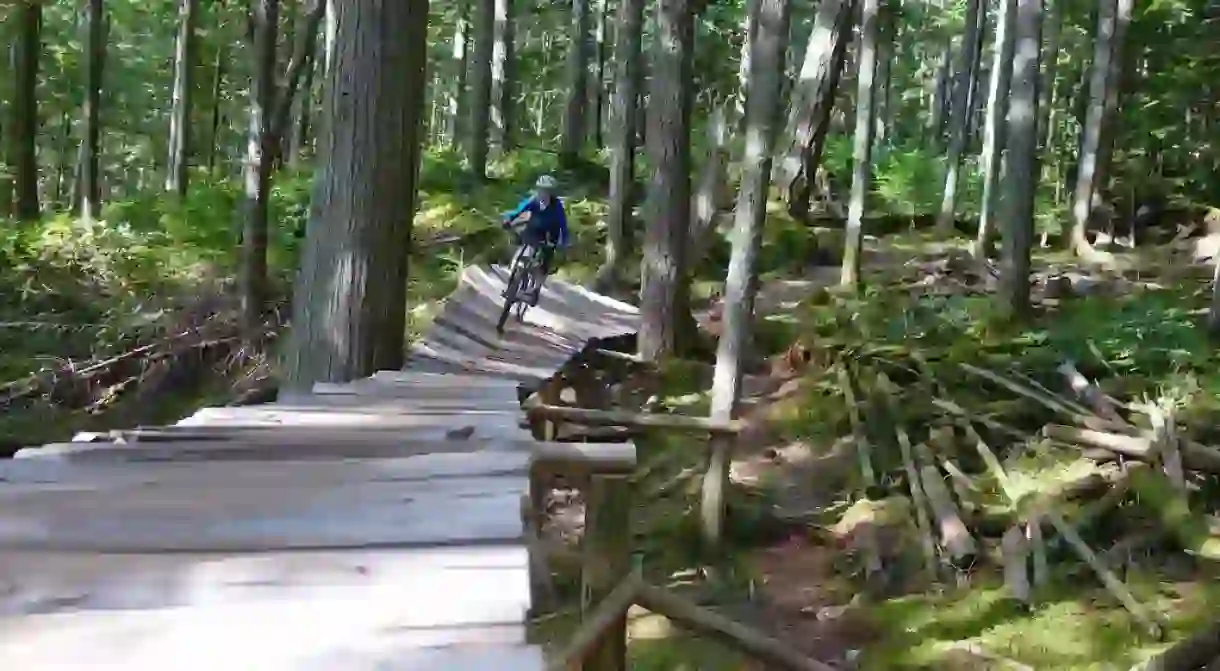 Bike trails in Squamish