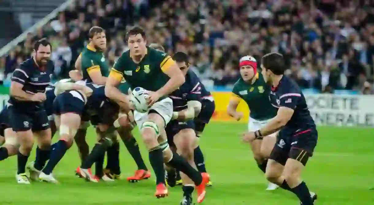 Springbok rugby players in 2015