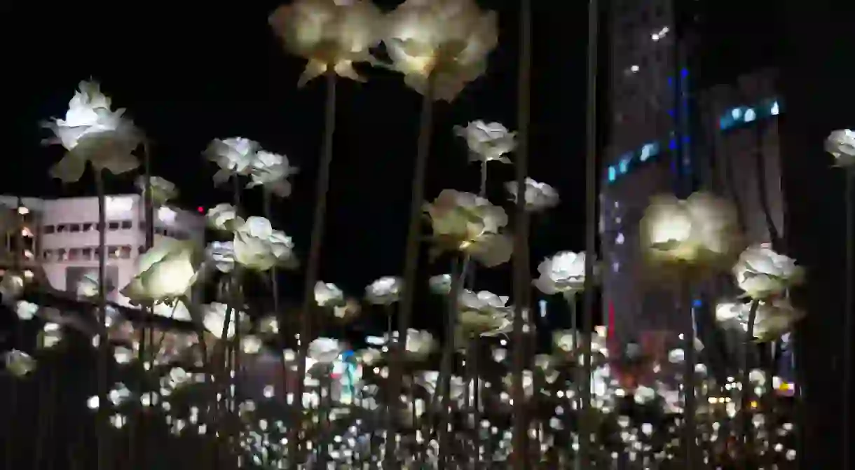 Dongdaemun Design Plaza LED Rose Garden