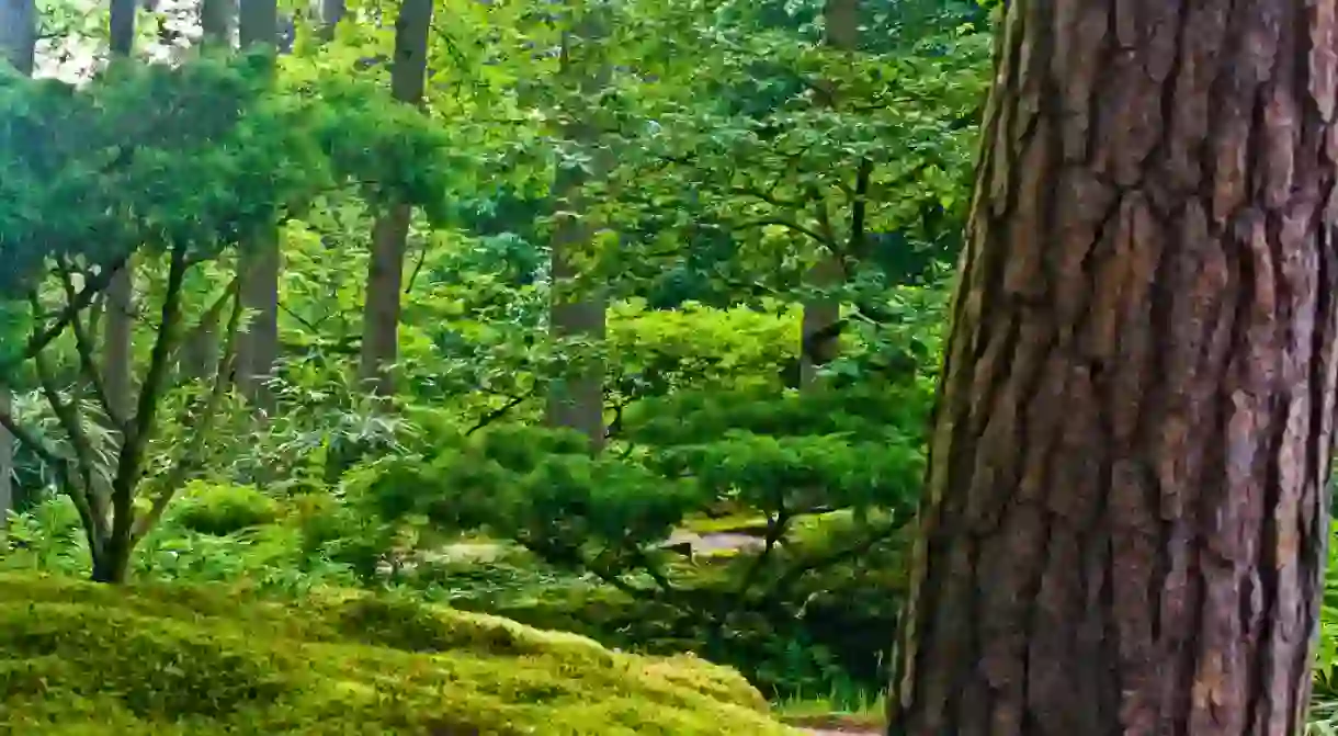 The Japanese Garden