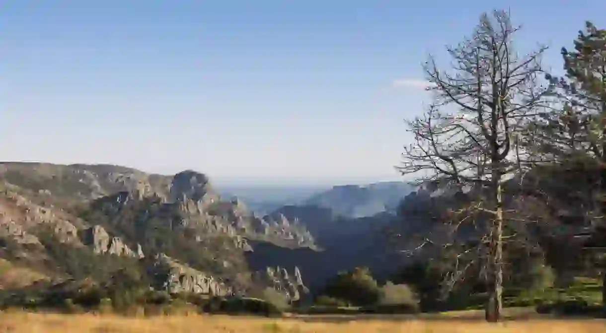 Haut Languedoc Natural Regional Park