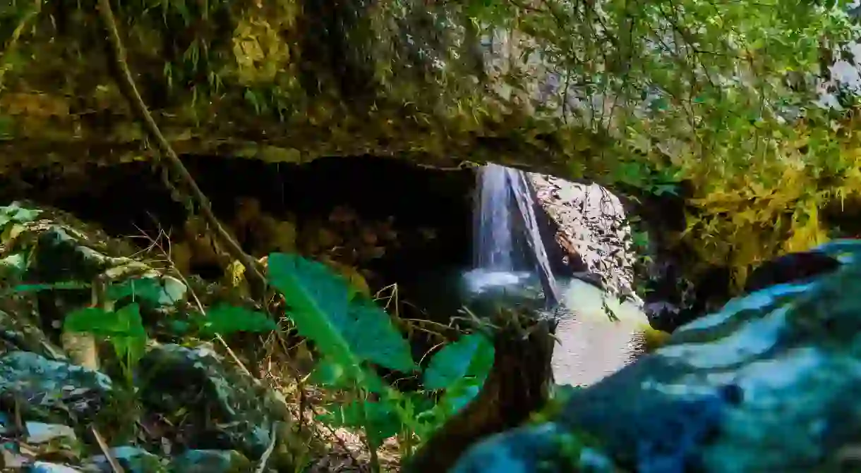 Springbrook National Park