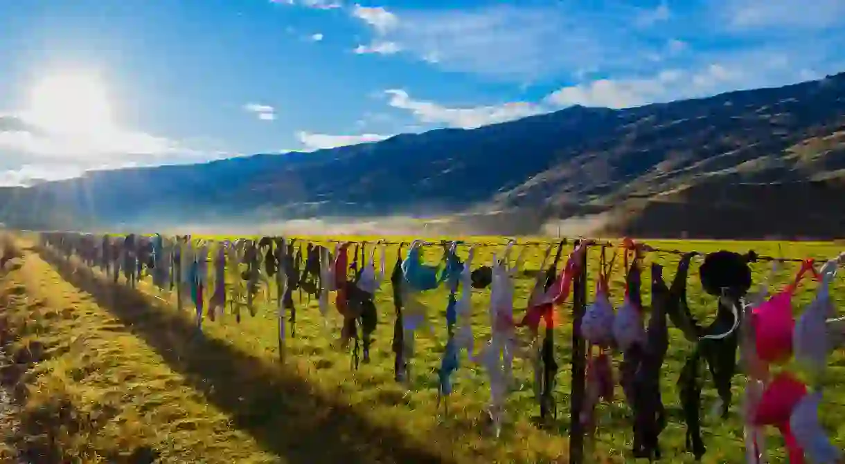 Cardrona Bra Fence, New Zealand