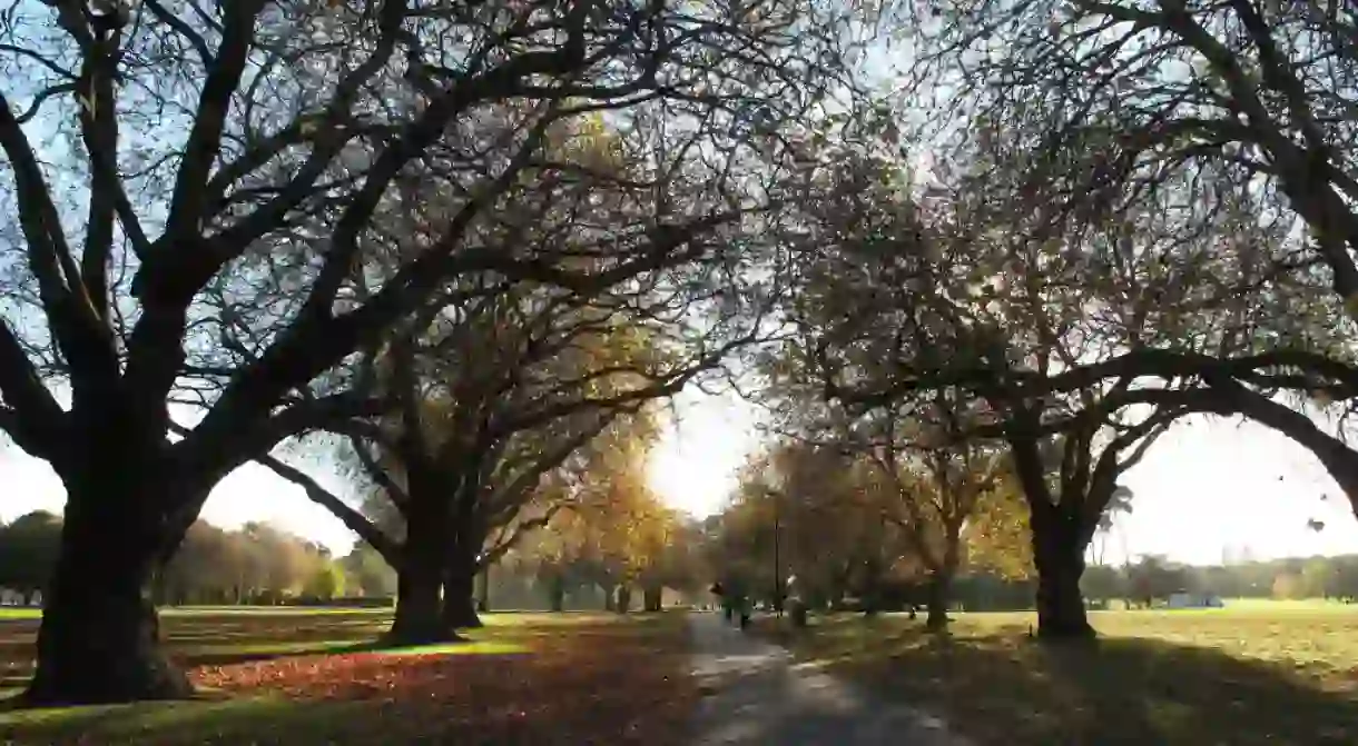 Hagley Park, Christchurch