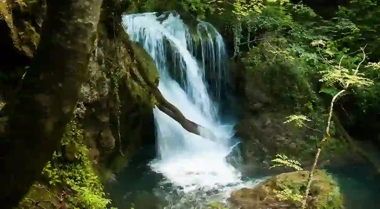 Waterfall in Cheile Nerei National Park