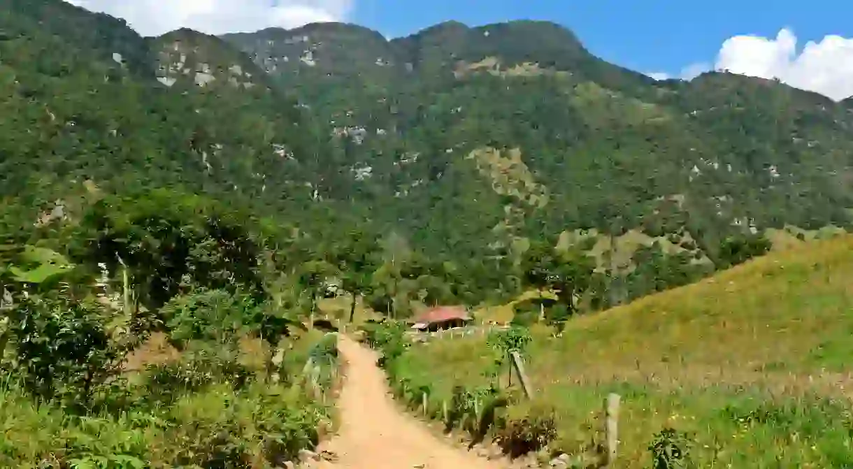 Hiking to La Chorrera waterfall