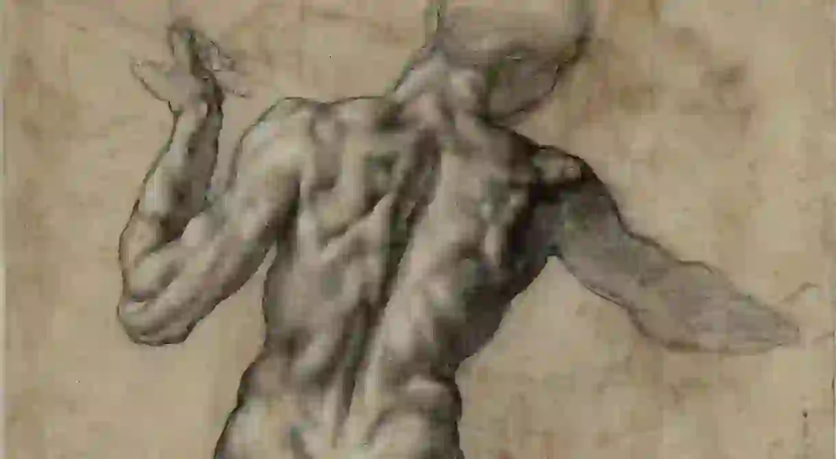 Anatomy study by Michelangelo