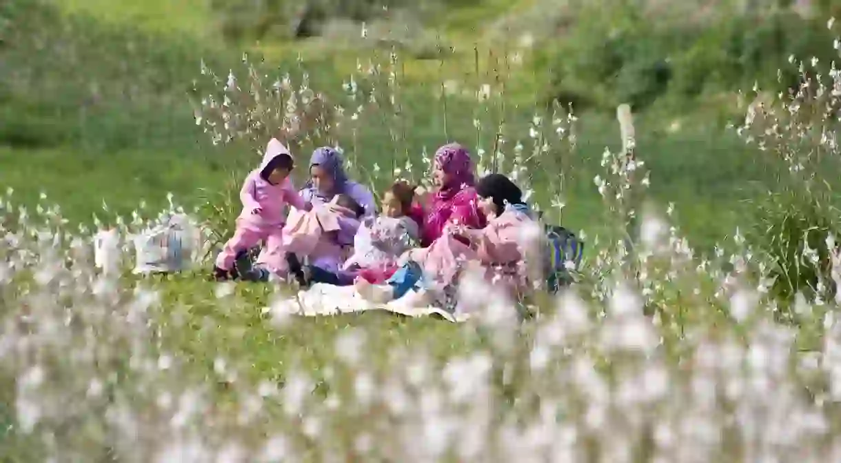 Moroccan women and children enjoying a springtime picnic