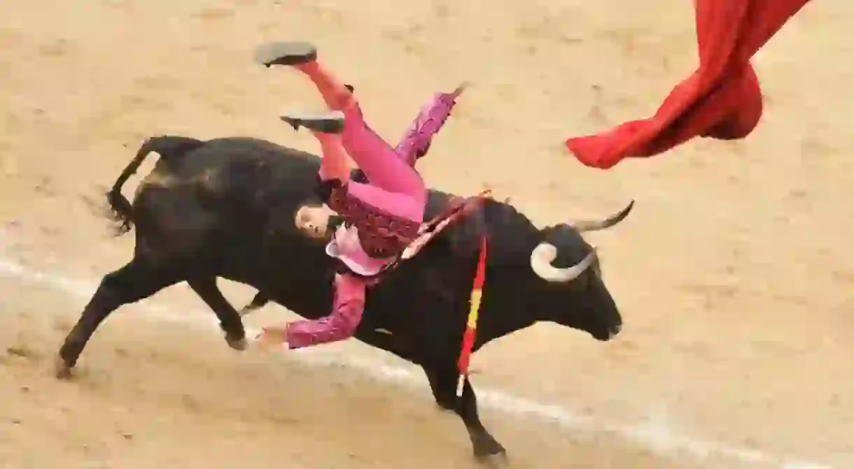 A bull tossed bullfighter (toreros) during a bullfight (Corrida) at a bullfight in Madrid.