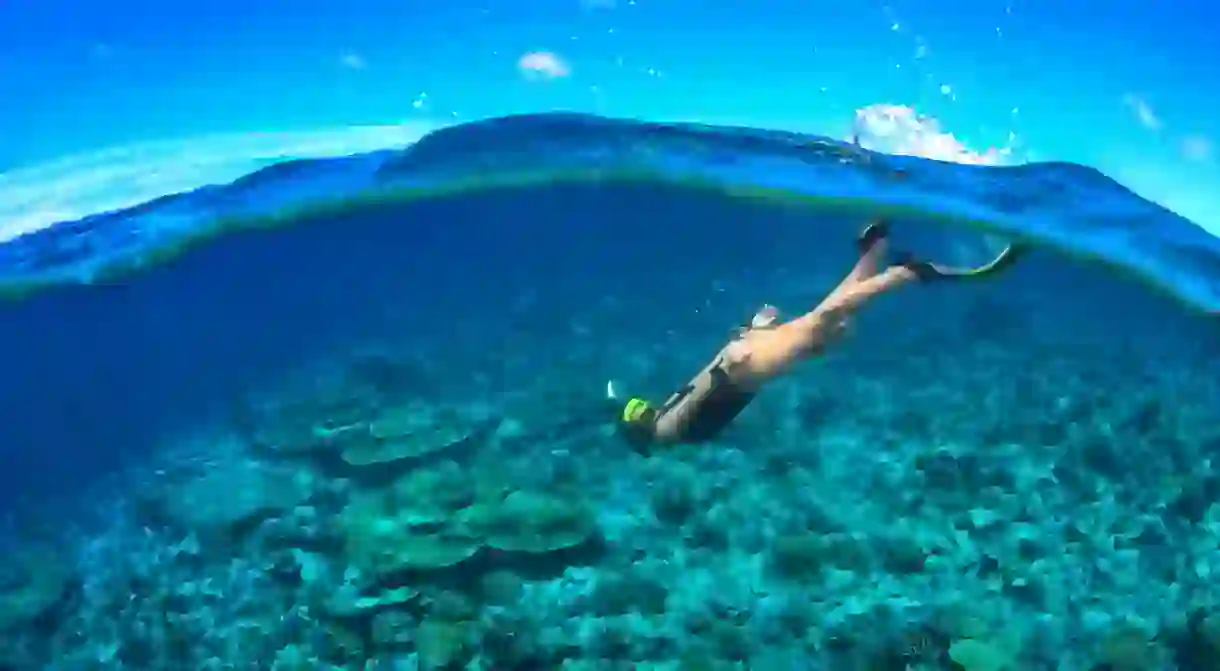 Go snorkeling to unlock the ocean