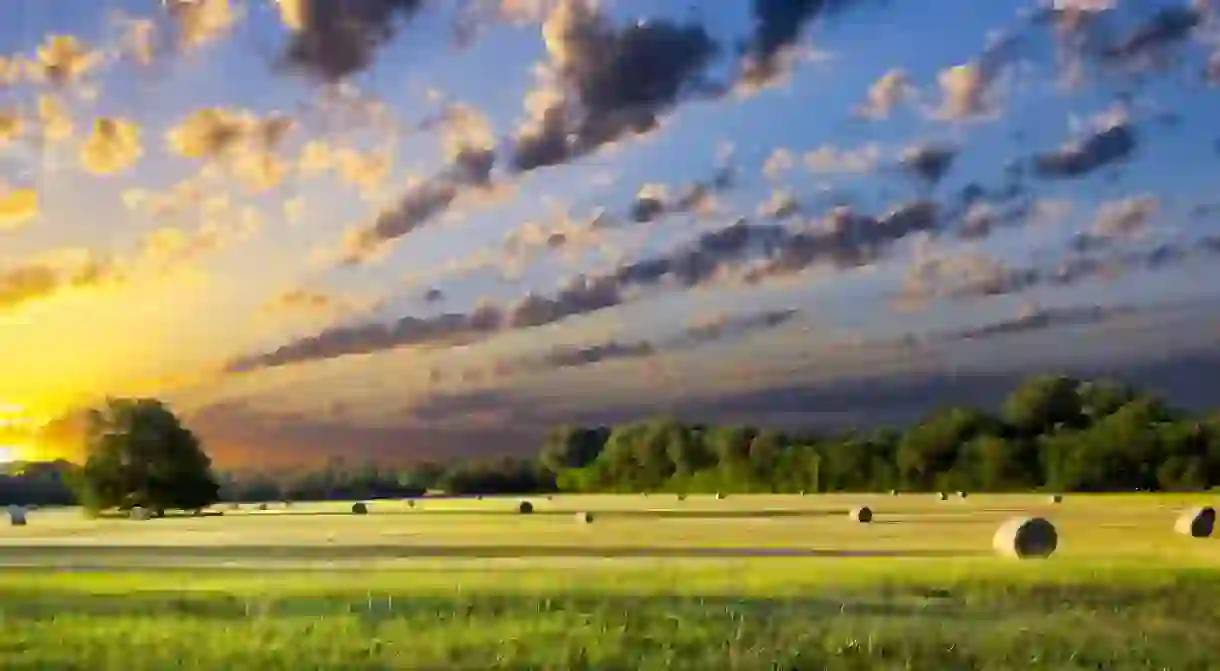 Tranquil Texas meadow at sunrise with hay bales strewn across the landscape