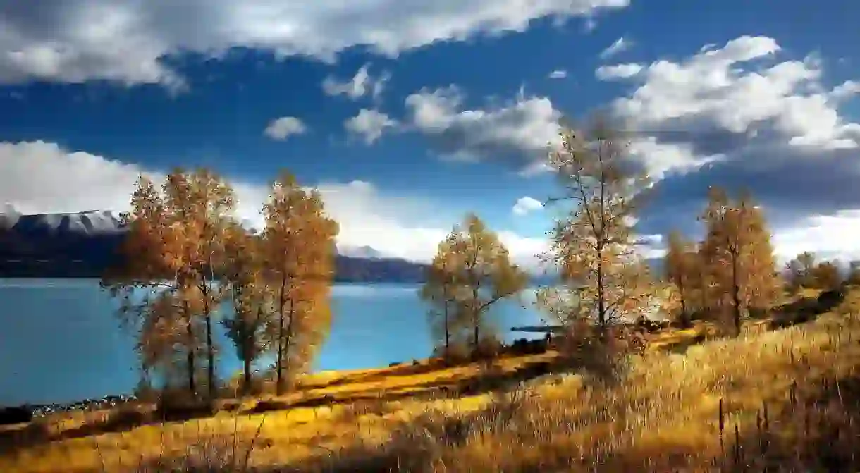 Lake Pukaki, New Zealand