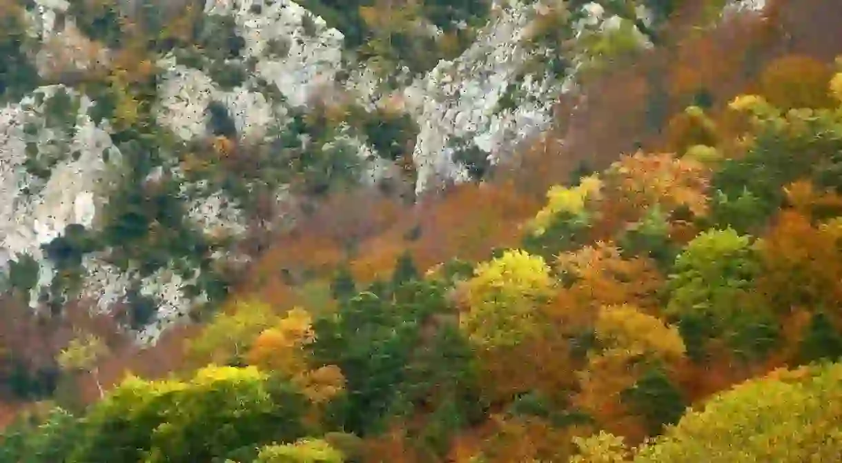 Autumn in Catalonia