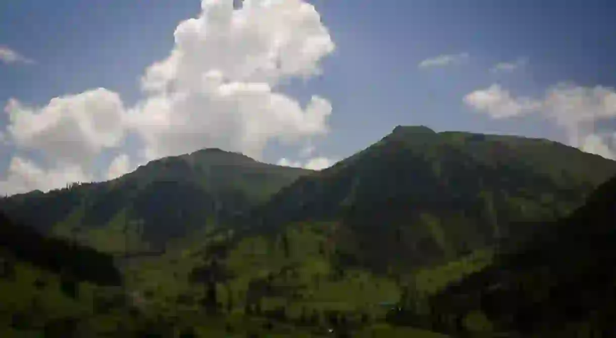 Artvin