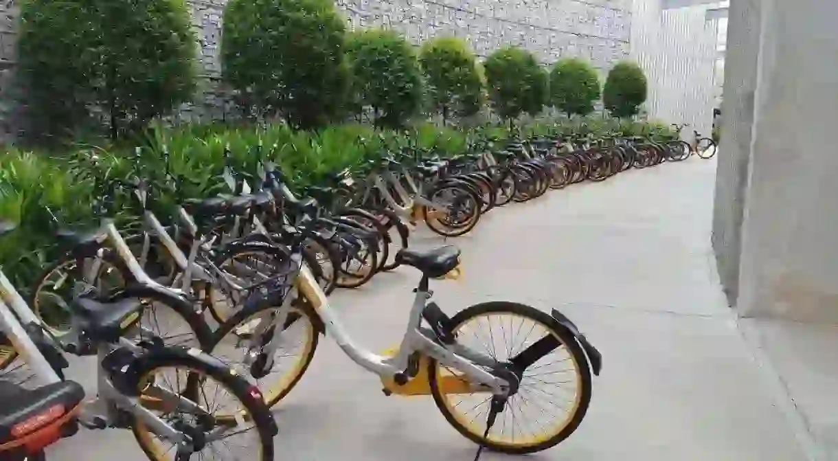 Rows of oBikes