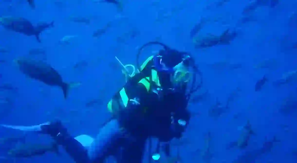 Diving in the Galapagos