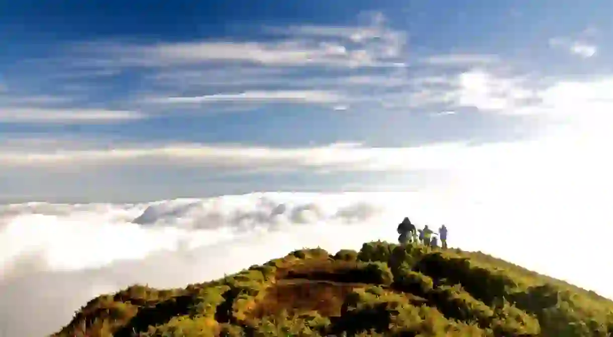 Atop Mt. Pulag