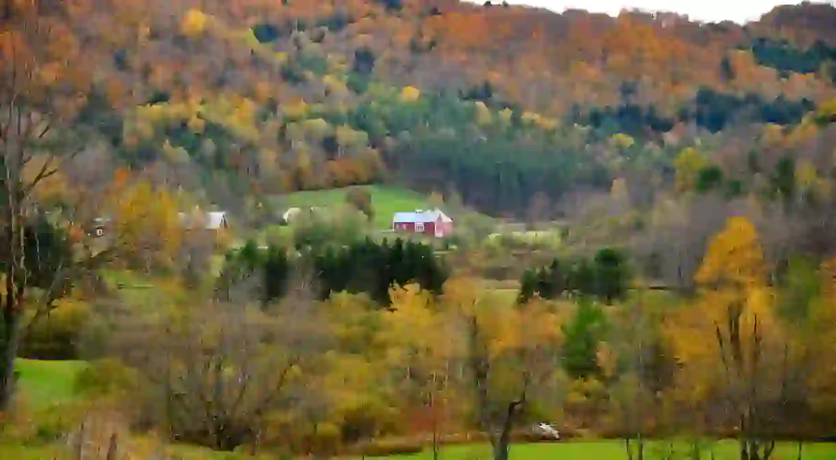 Fall foliage in Vermont