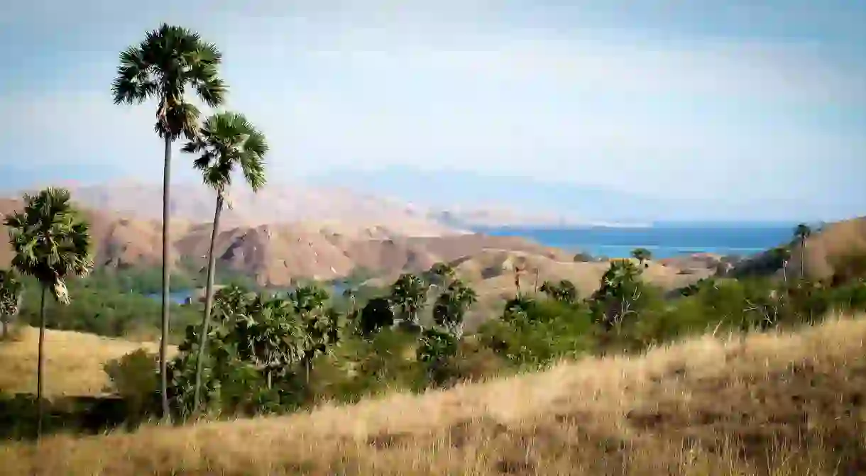 Komodo Island landscape