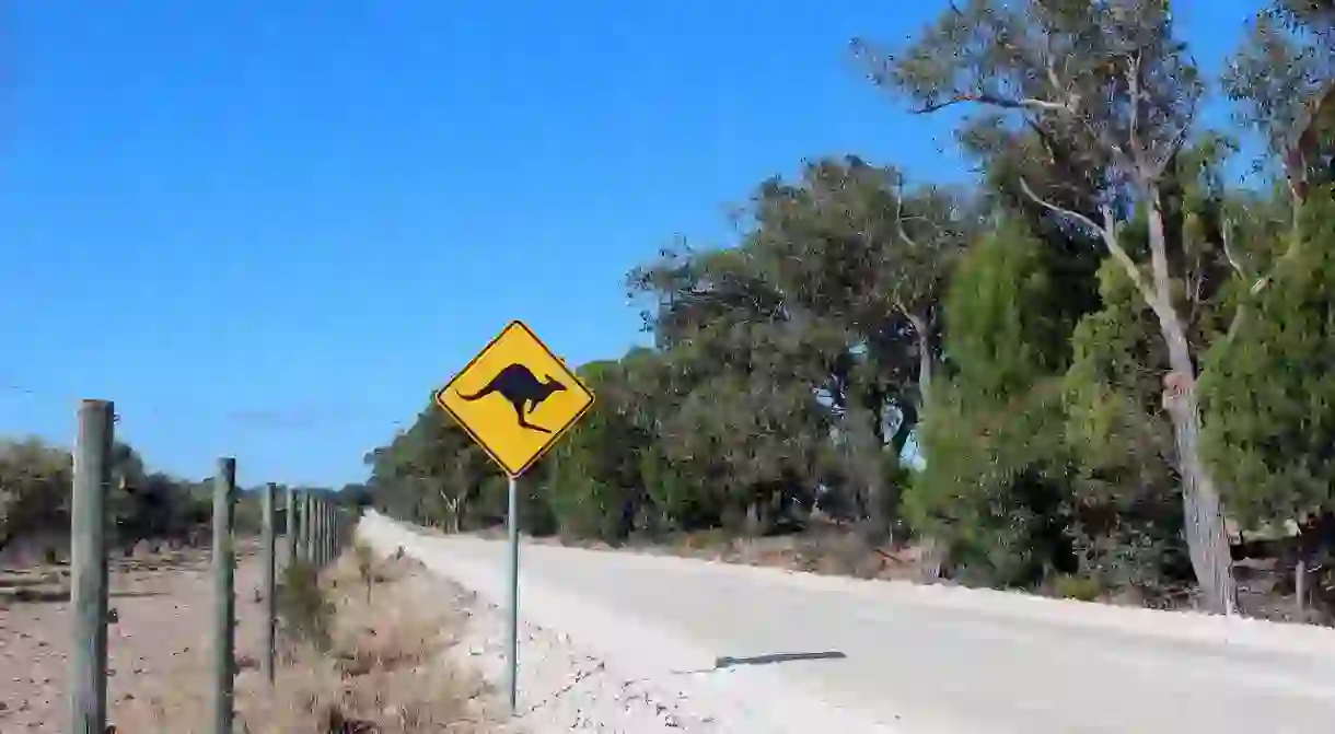 https://pixabay.com/en/australia-kangaroo-road-shield-2282288/