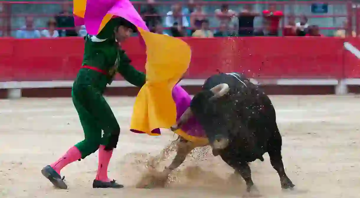 Bullfight