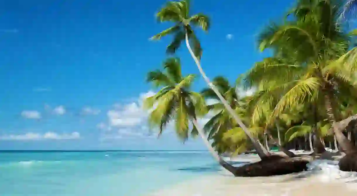 Caribbean beach in Saona island, Dominican Republic