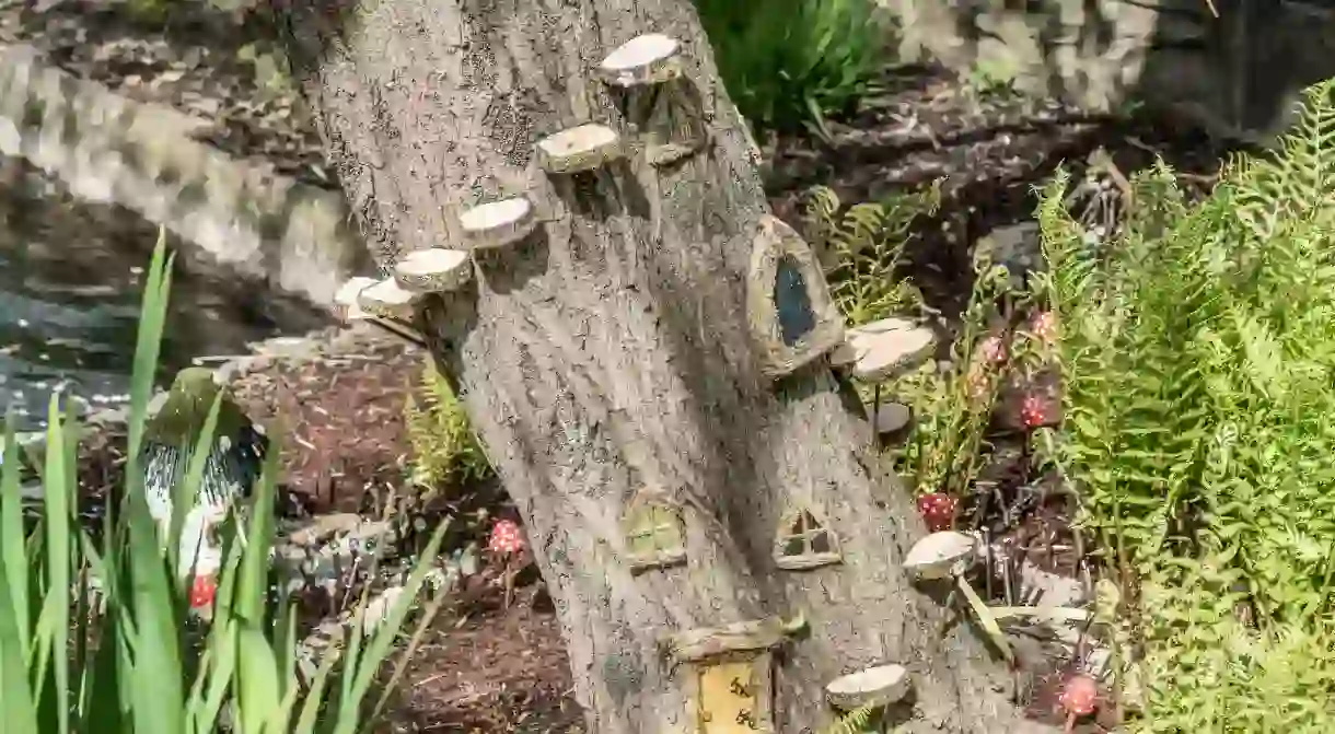 Fairy Tree in Blessington Bason. Dublin