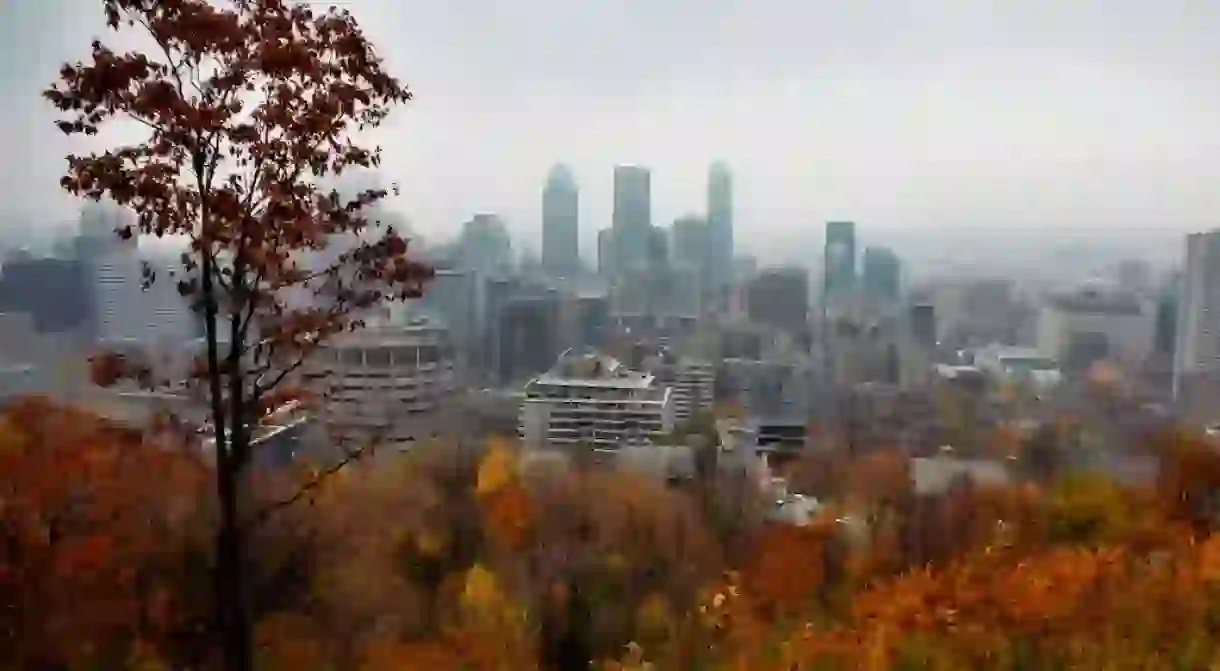 Fall colors in Montreal