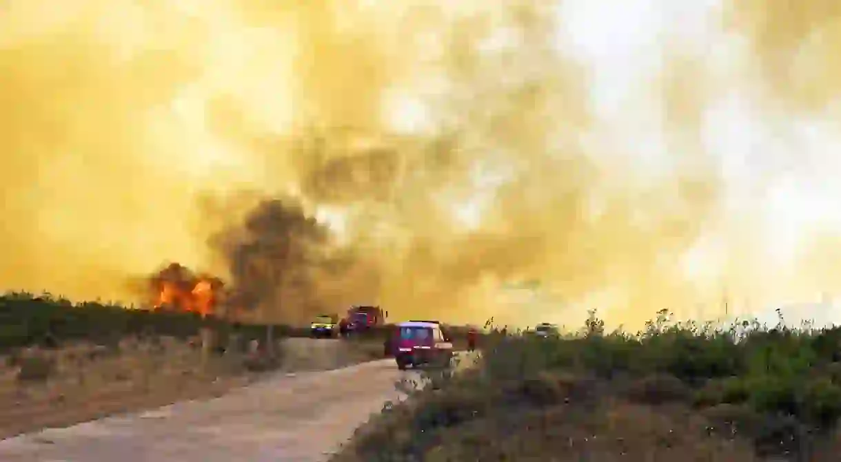 Forest fires in Portugal