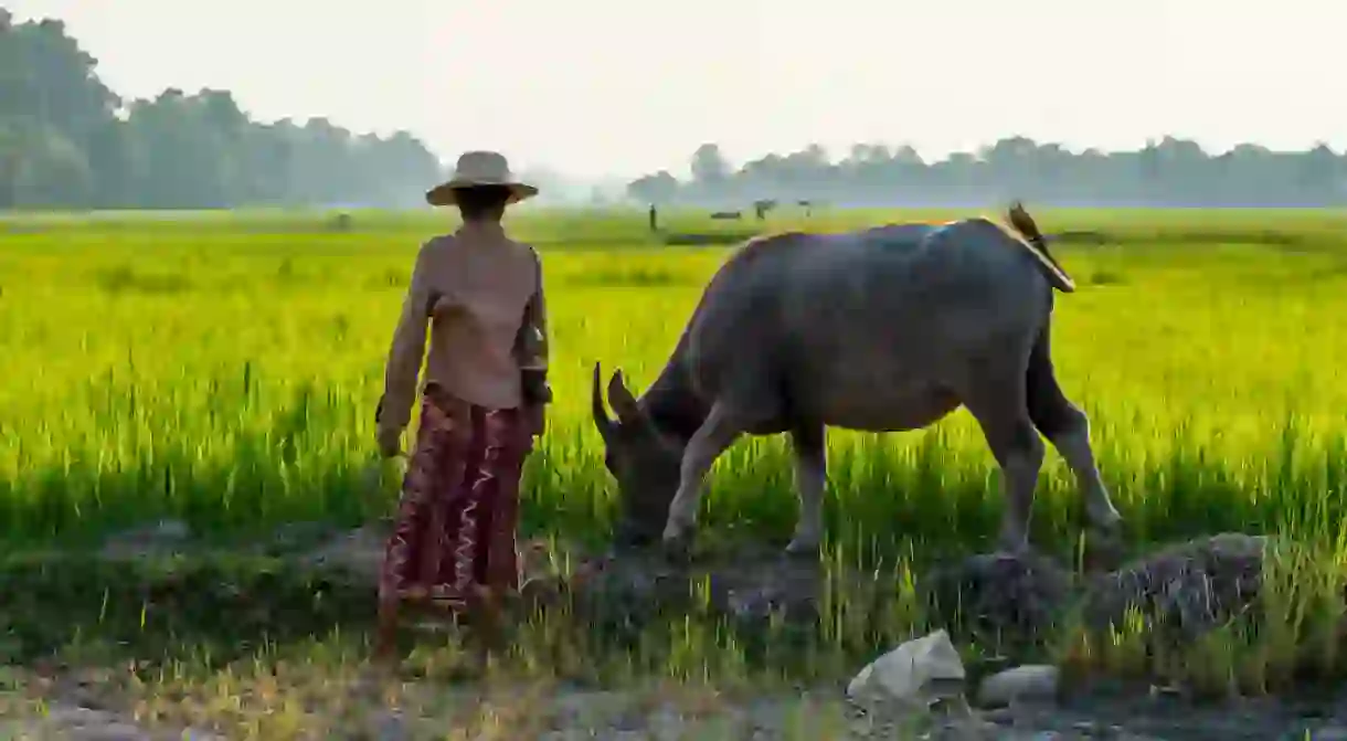 Cambodia is full of great landscapes