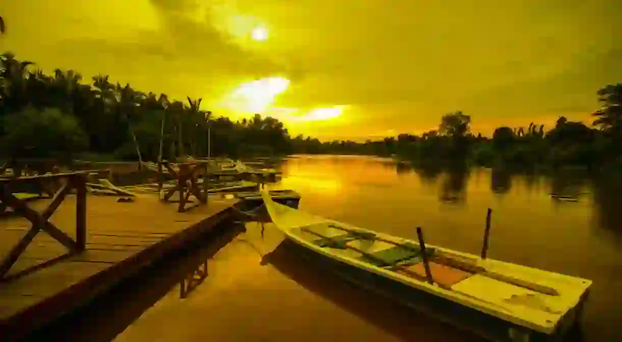 Kampung Kuantan Firefly Park in Kuala Selangor