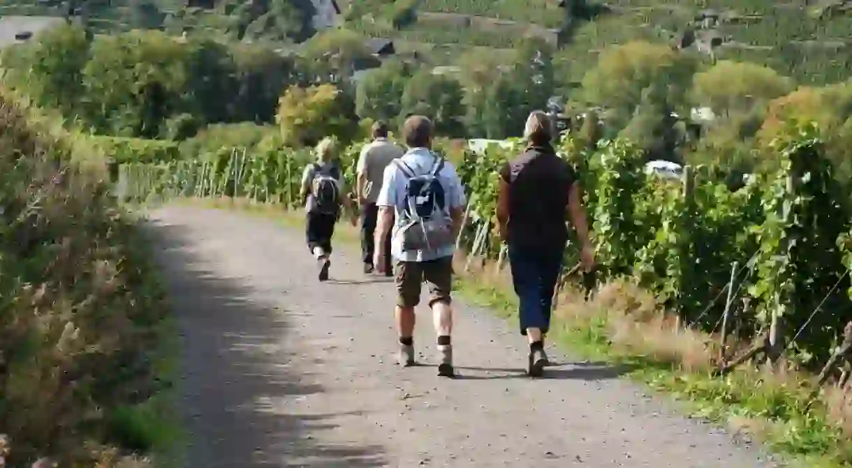 Hikers explore the vineyards of the Ahrtal