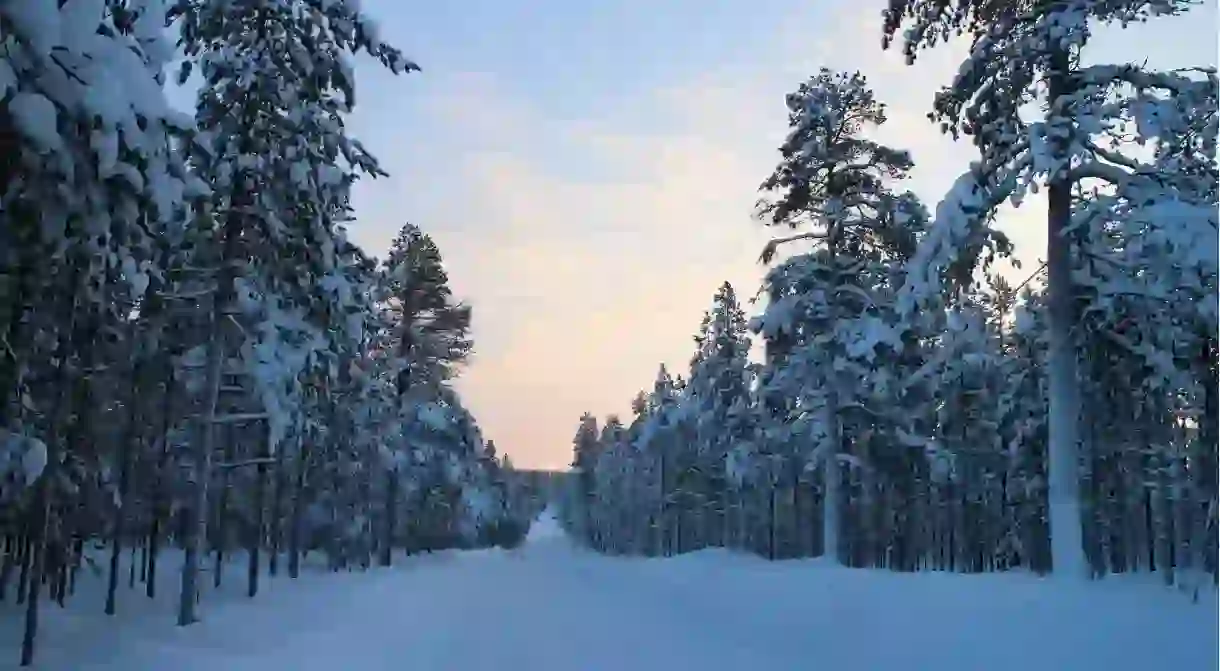 Finland winter landscape / Good Free Photos