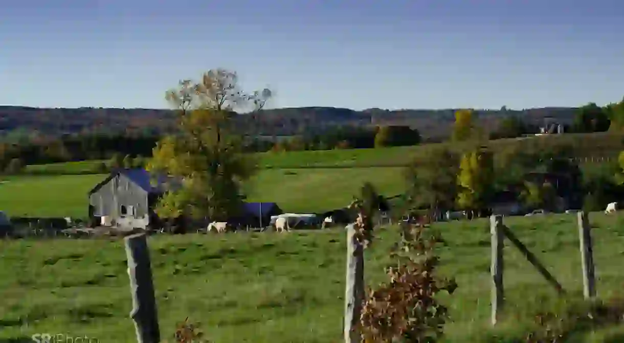 Farmland in Southern Ontario