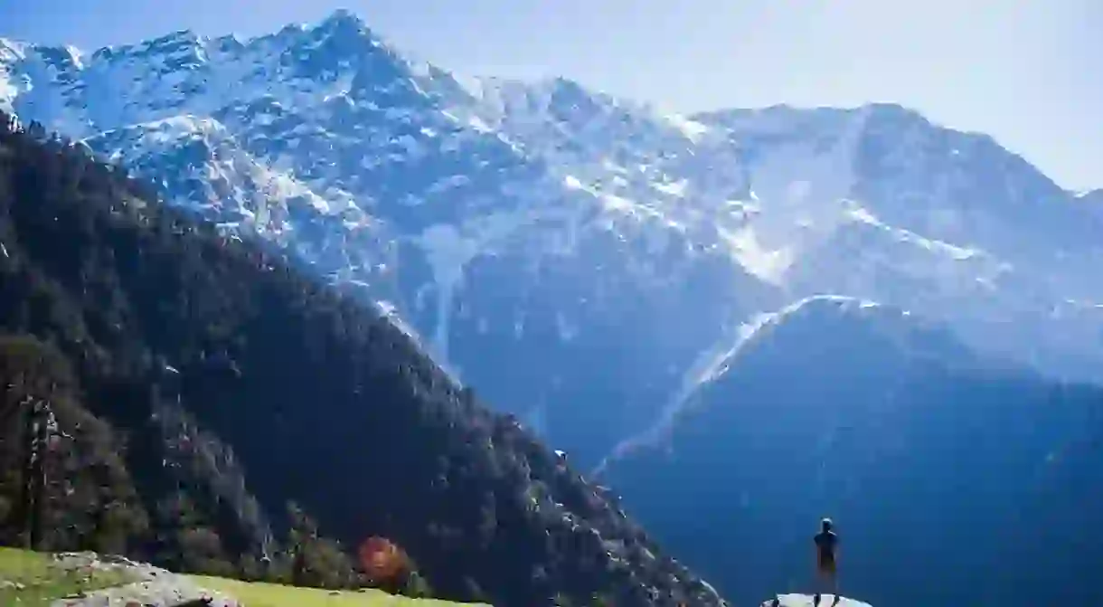 Triund Hill overlooking the majestic Dhauladhar Peaks