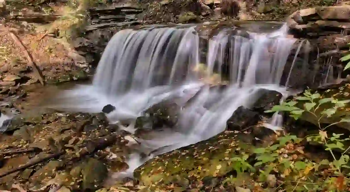 Lower Tews Falls