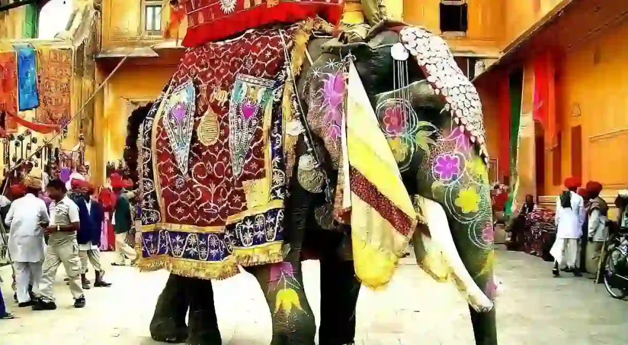 Decorated Indian Elephant © Faraz Usmani