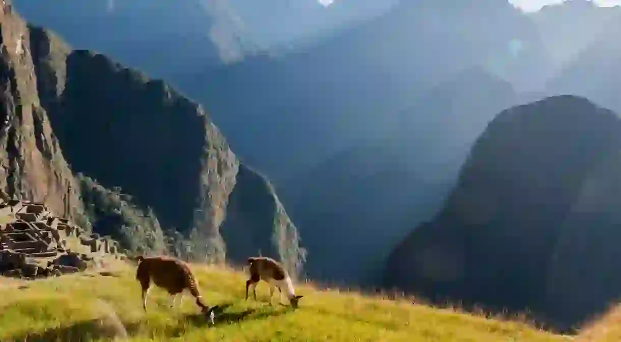 Machu Picchu