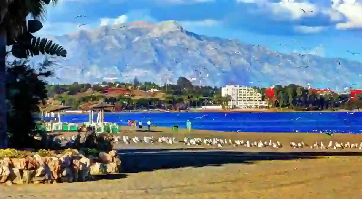 The beach at Estepona; Alcalaina/flickr