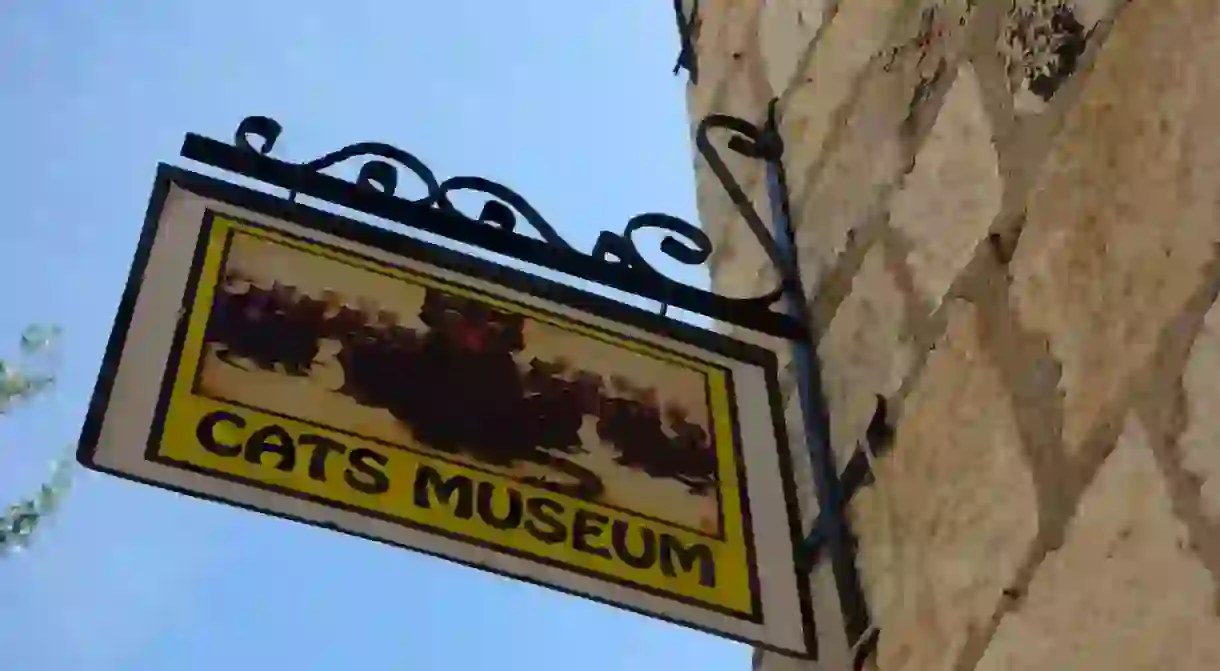 Cats Museum Kotor