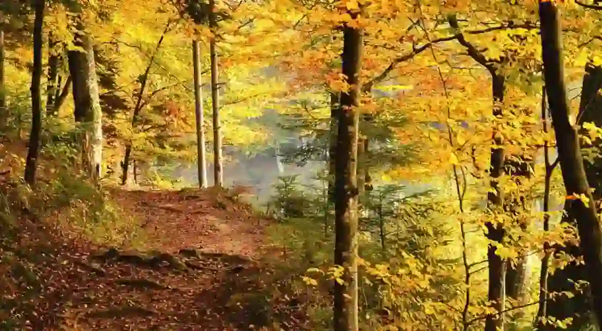 Medvednica autumn walk